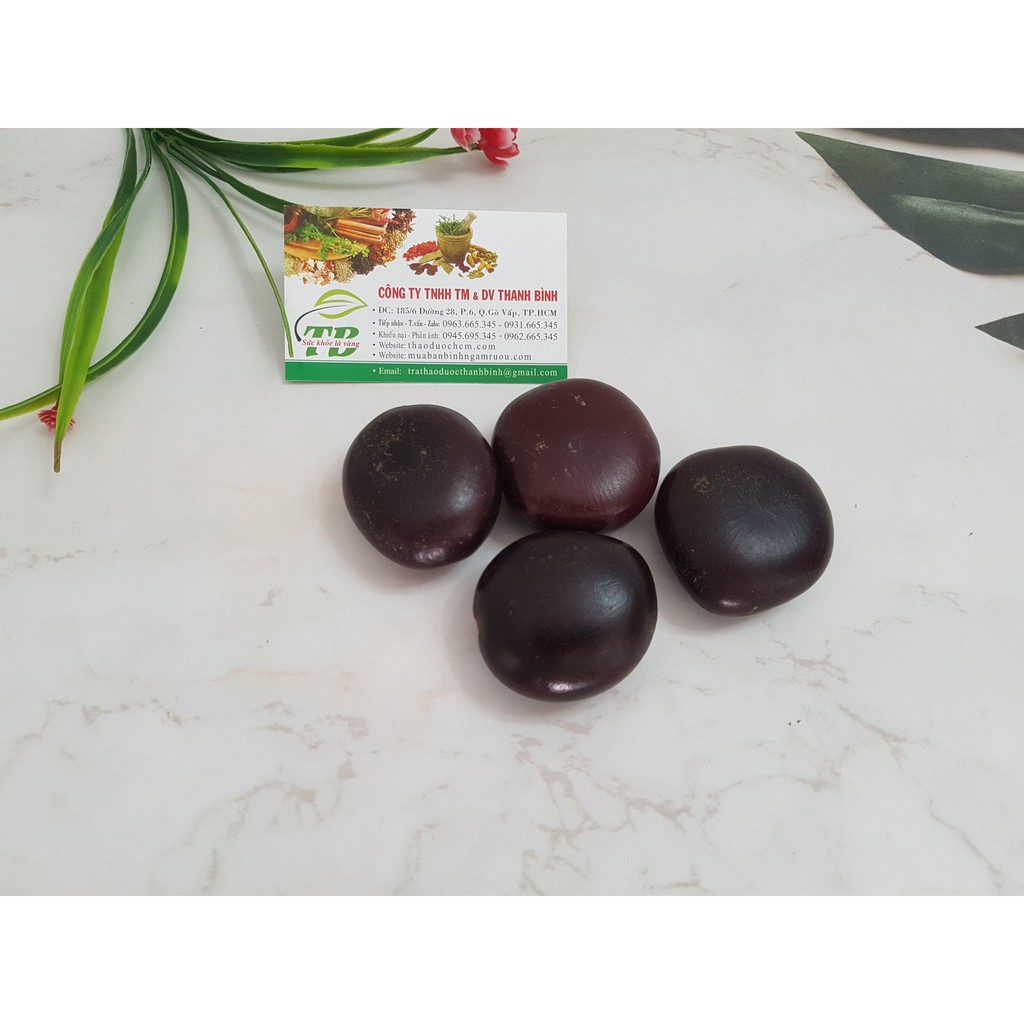 Trái Tràm   - Hàng Chọn Lọc - Thảo Dược Thanh Bình