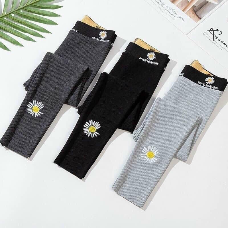 Quần legging hoa cúc