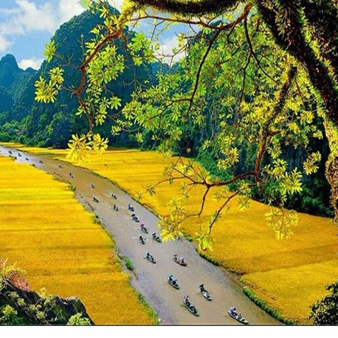 Hà Nội [E-Voucher] Tour Tết 2020 hấp dẫn khởi hành từ mồng 1 Tết: Hoa lư- tam cốc - hang múa