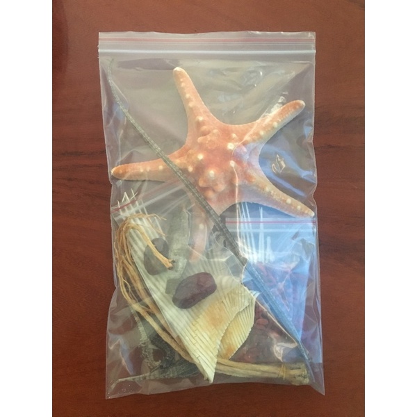 Sao biển đỏ khô