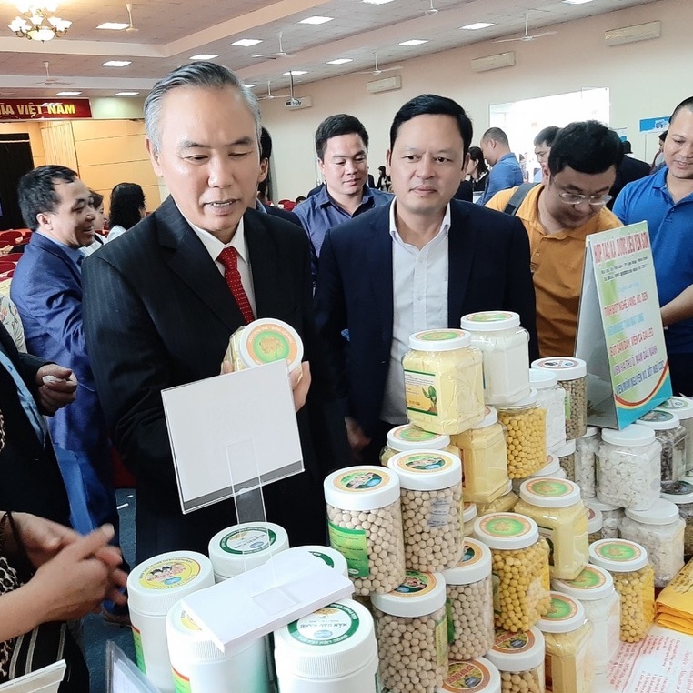 Viên tinh bột nghệ mật ong Nguyên Chất, tinh bột nghệ thiên nhiên nguyên chất thảo dược tốt cho sức khỏe và sắc đẹp