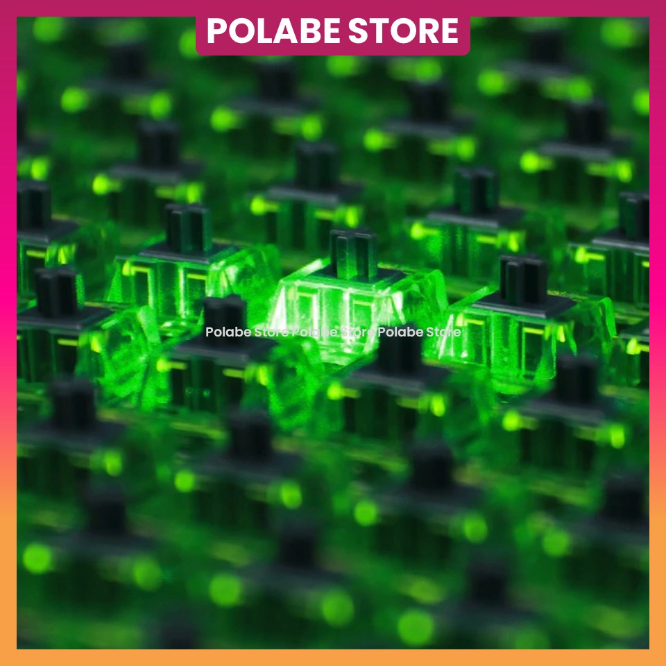 EQUALZ C3 Kiwi Switch C3Kiwi Tactile Switch EQUALZ Kiwi Switch Công Tắc Bàn Phím Cơ - Polabe Store