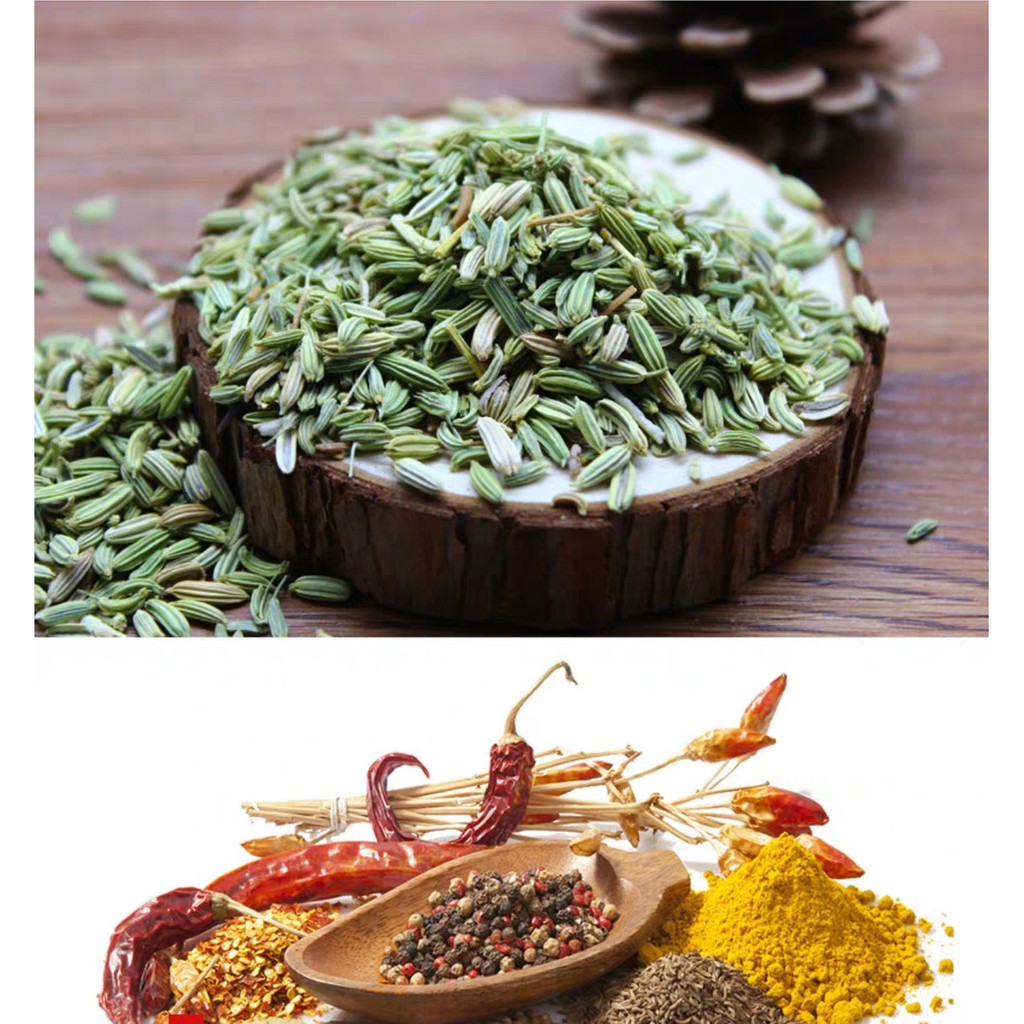 Hạt thì là - Fennel Seed - 50gr