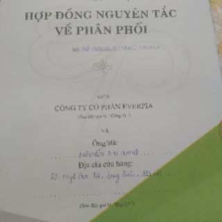 Ruột gối EVERON micro