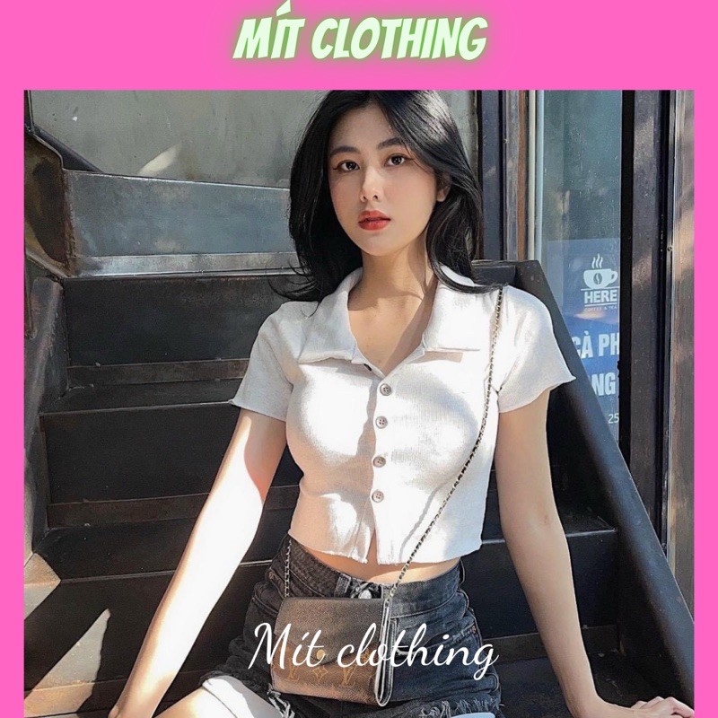Áo croptop thun gân ngắn tay cổ sơ mi có nút (ảnh thật trải nằm)