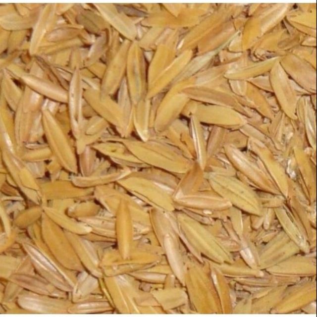 Vỏ Chấu trồng cây. 1kg
