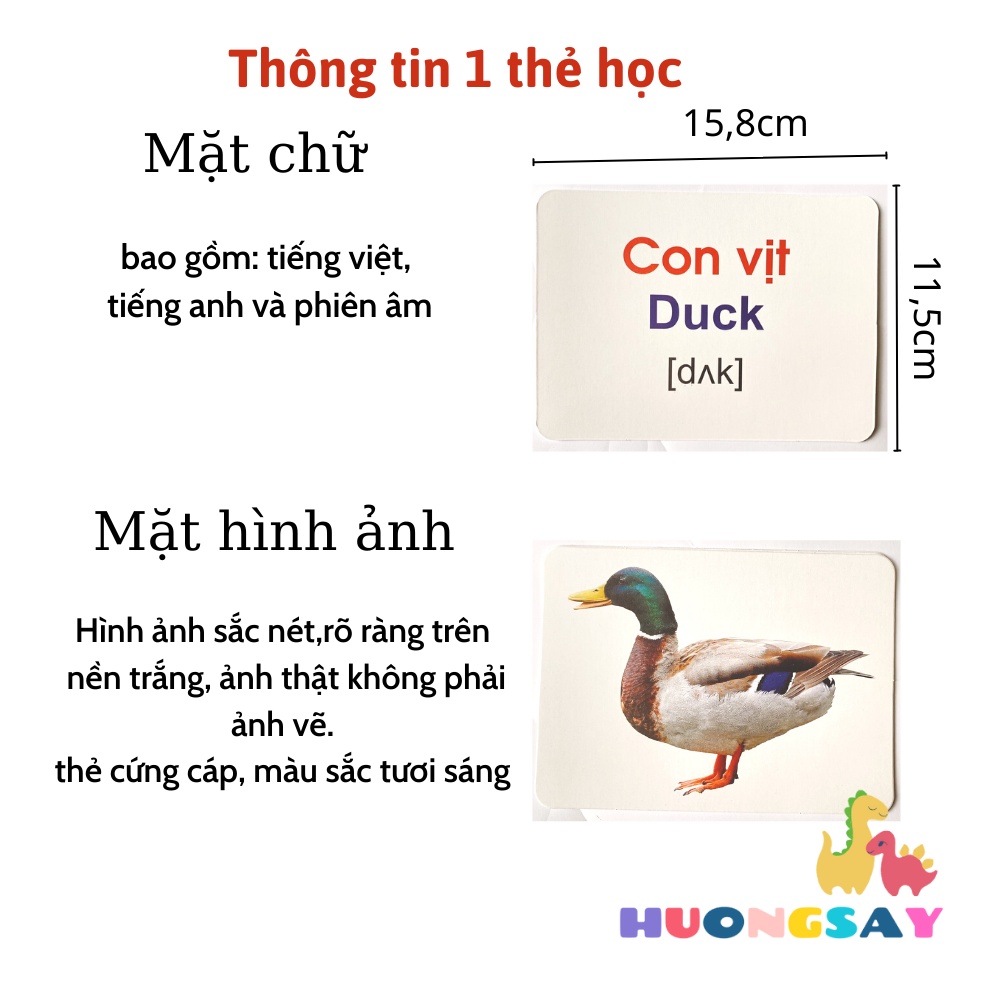 Bộ thẻ học song ngữ Flashcard loại thẻ BIG SIZE ( 14 chủ đề)