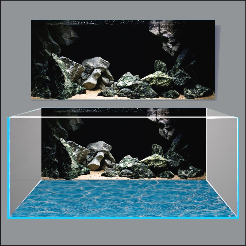 TRANH THỦY SINH DÁN HỒ CÁ 3D NEW DESIGN_TRANH LƯNG