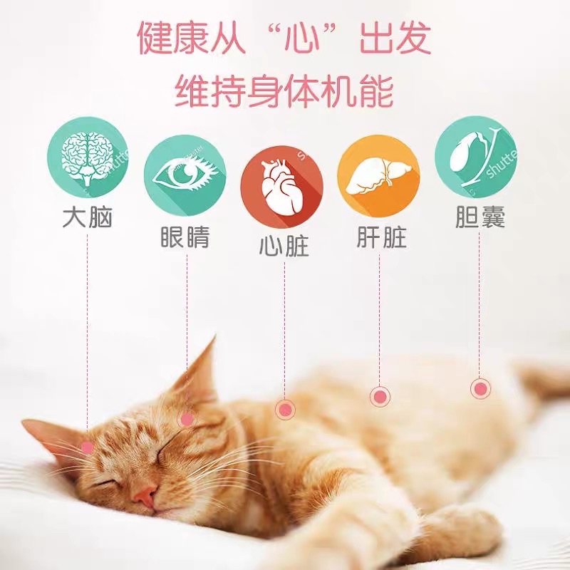 Vitamin cho mèo Inkat với Taurine và Lutein bổ mắt bổ tim cho mèo NourseVietnam IN02