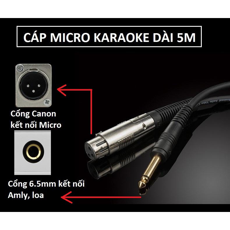 Dây micro dài 5m JSJ – Dây jack canon cái ra 6ly – Cáp micro karaoke - Hàng hãng – Chống nhiễu - Chống rối
