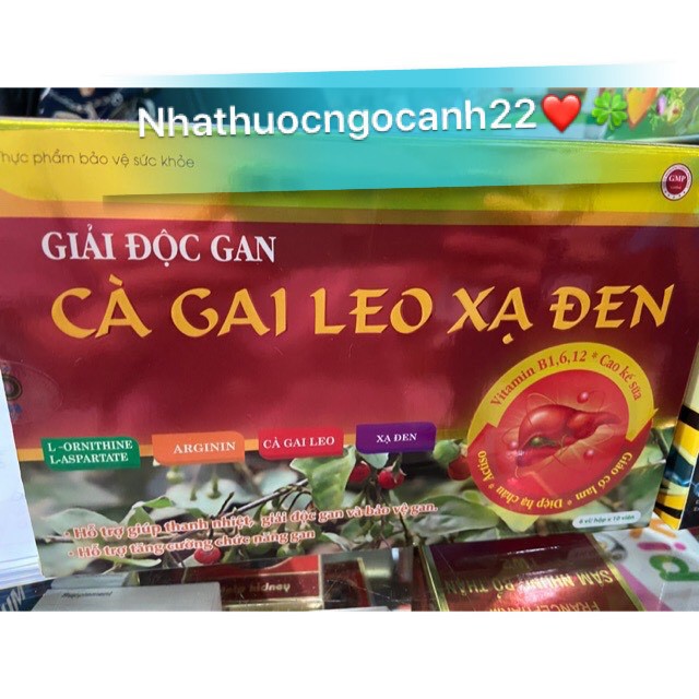 Viên uống giải độc gan Cà gai leo xạ đen - Vàng (hộp 60 viên)