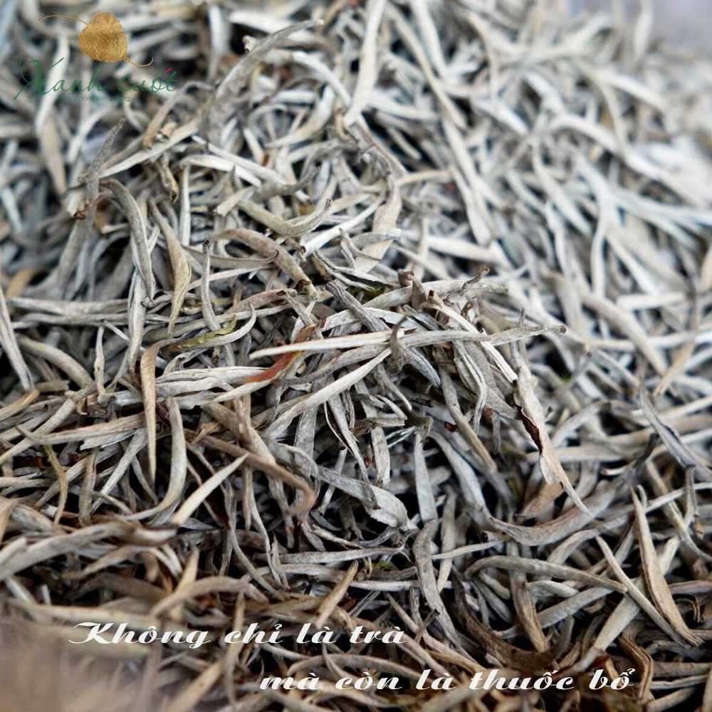 [Dã Vị] Bạch Trà Tây Côn Lĩnh- White Tea- Trà Trắng Cổ Thụ Hà Giang [Xanh Suốt]