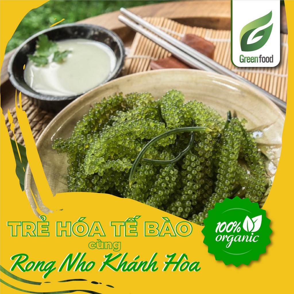 Rong Nho Tách Nước Khánh Hòa 25g - Viên ngọc xanh của biển cả - GreenFood | BigBuy360 - bigbuy360.vn