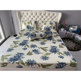 Bộ Drap thun lạnh Thái Lan nhập khẩu cao cấp