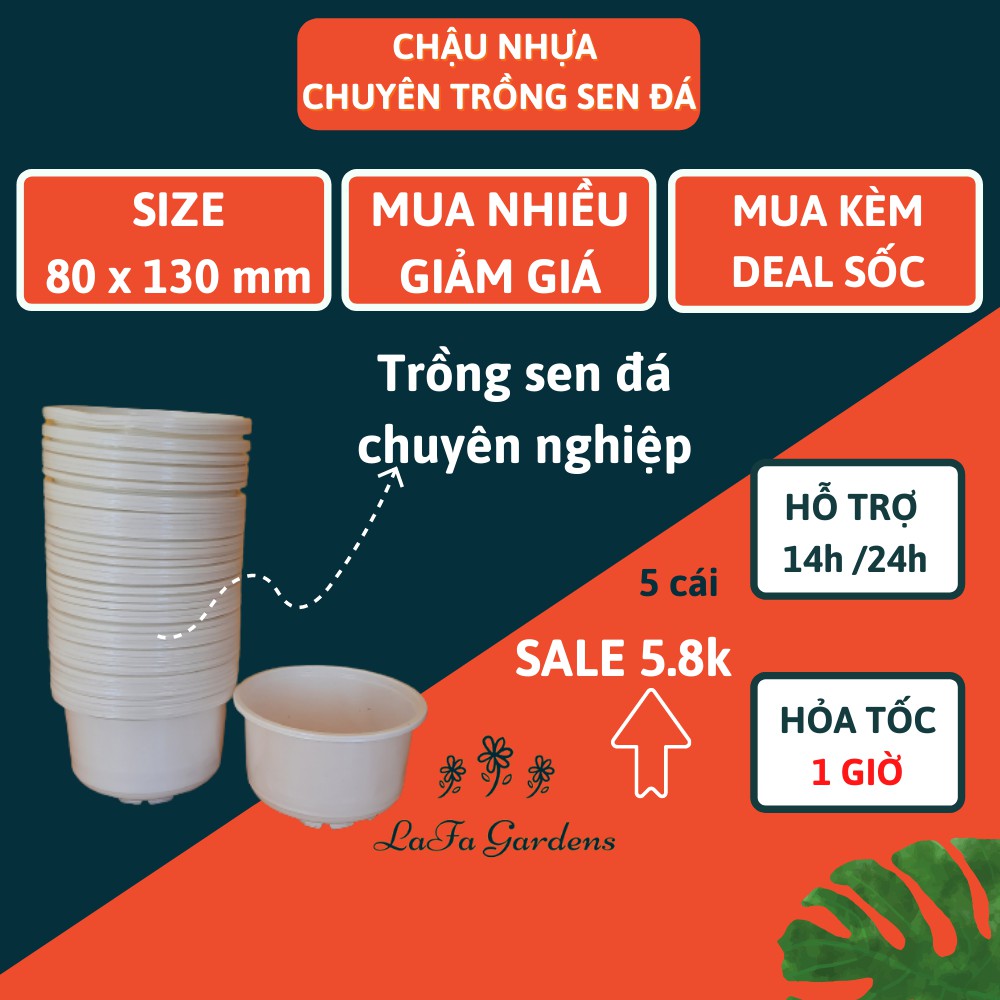 Chậu nhựa chuyên trồng cây sen đá thành thấp LAFA GARD 5 cái kích thướ