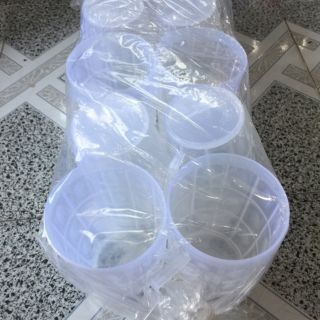 Set 10 ly nhựa có quai