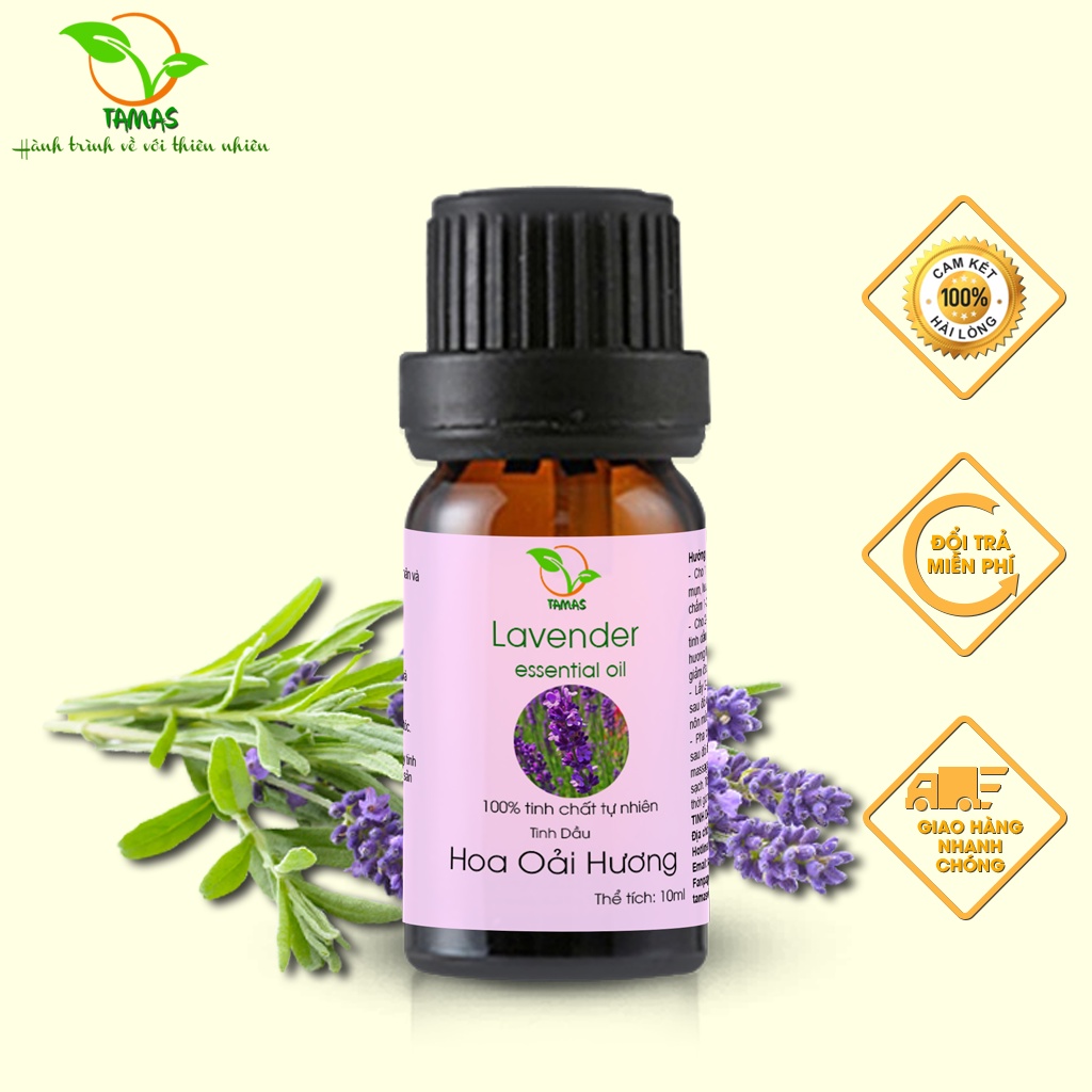 Tinh dầu Oải Hương (Lavender) TAMAS 10ml thơm phòng, thư giãn