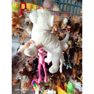gấu bông chó nâu sz 50cm
