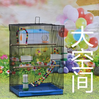 Lồng chim, chim cao cấp, vẹt, sáo, gió lộng, không gian rộng