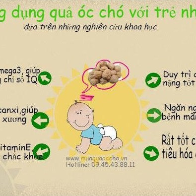 250GRAM Hạt Óc Chó Vàng Mỹ (NGUYÊN HẠT SẤY CHÍN)