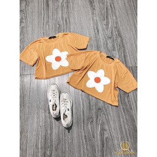 [FREESHIP ĐƠN TỪ 50K] Áo croptop hoa 5 cánh trắng NTA0420