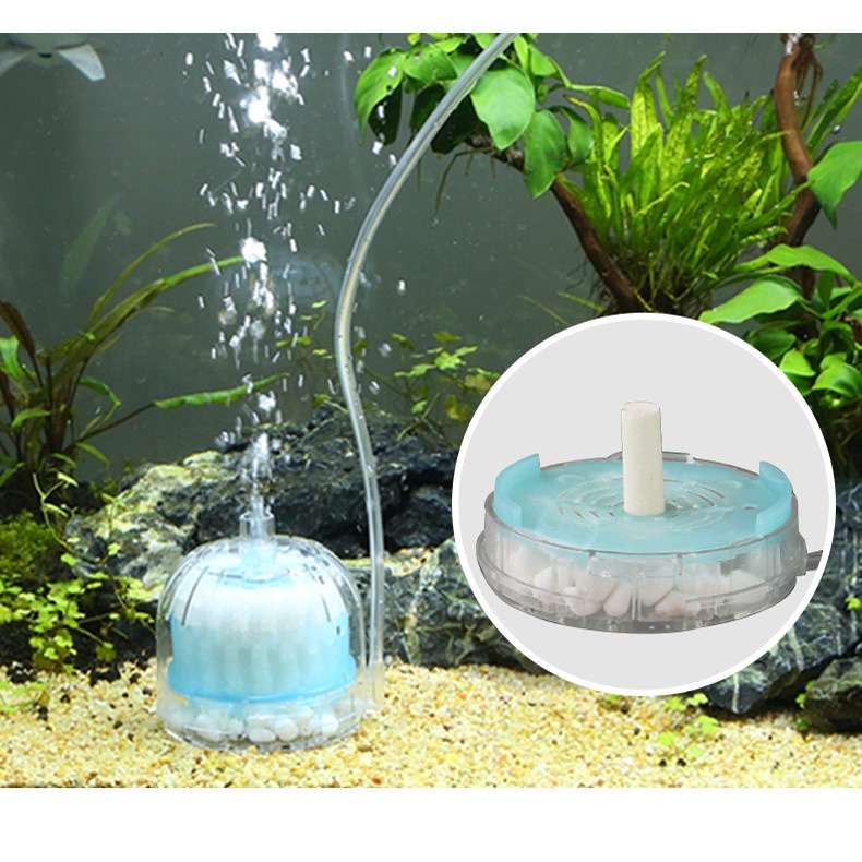 Phụ Kiện Lọc Bơm Oxy JX-01 Dành Cho Bể Nuôi Cá Cảnh