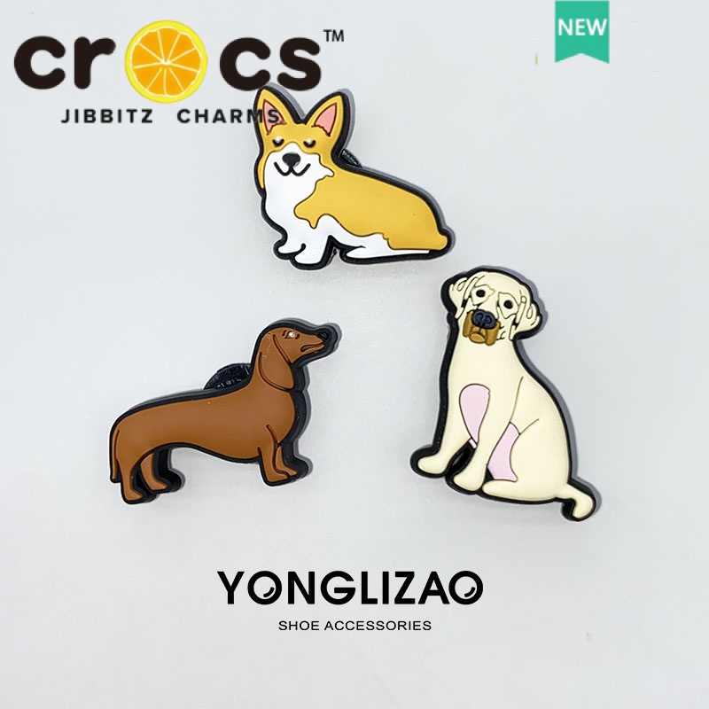 Bộ Phụ Kiện Khóa Giày Crocs jibbitz DIY Hình Hoa Hoạt Hình Dễ Thương