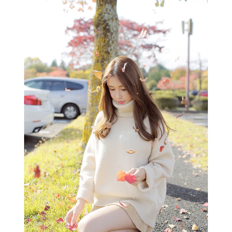 Ulzzang Áo len cổ lọ dáng oversize Al137