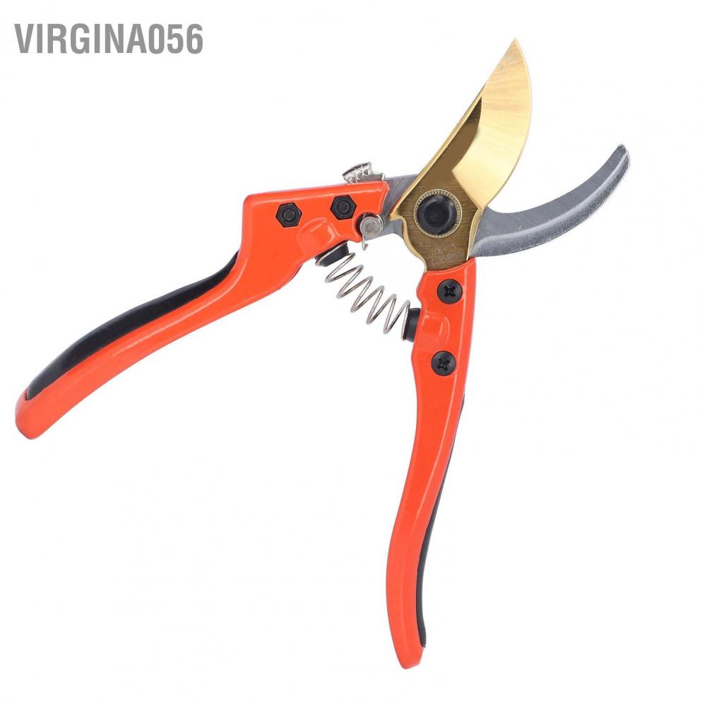 Virgina056 Pruning Shears Pointed Fruit Branch Garden Plant Trimming Scissor for Agriculture Courtyard