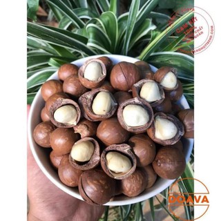 Hạt Macca Nứt Vỏ 500g  - Macadamia, Mắc Ca Loại 1 - DAV024