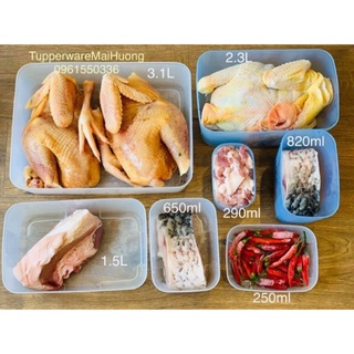 Tupperware lẻ hộp trữ đông 140ml / 250ml / 290ml / 650ml / 1,5l / 2,3l / 3,1l / 5,6l
