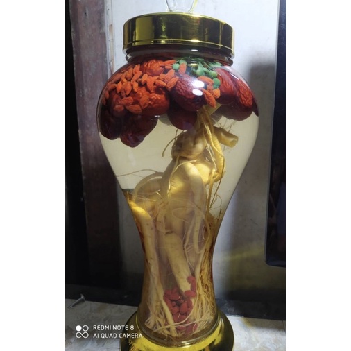 Nhân Sâm tươi Hàn Quốc 1kg loại 3 củ/1kg sâm tươi hàng chuẩn Hàn loại siêu đại dùng hầm gà, tẩm bổ, ngâm - Dược Liệu Quý