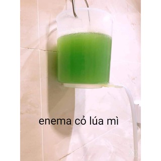 Hạt giống cỏ lúa mì Viethealthy 3kg