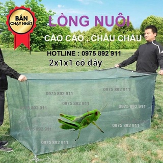 Lồng nuôi cào cào, châu chấu