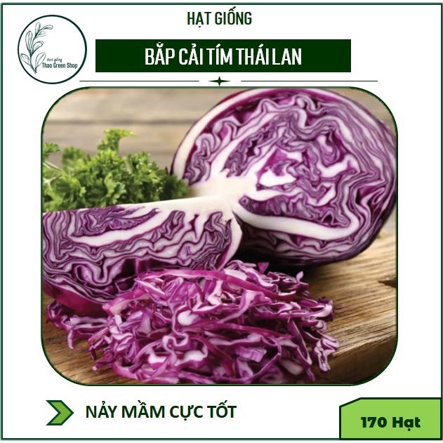 Hạt giống Bắp Cải Tím Thái Lan 170 hạt