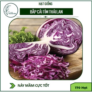 Hạt giống Bắp Cải Tím Thái Lan 170 hạt