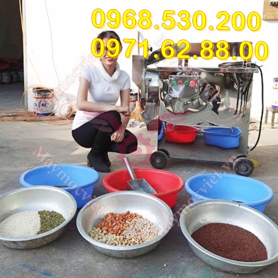 Máy nghiền bột mịn Vinmax NBM300 inox mẫu 2022