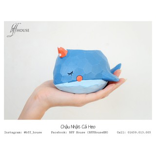 Chậu cá voi - gốm nhật trồng cây