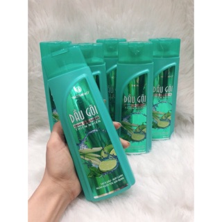 Dầu gội chanh-sả- Bạc hà thôracao