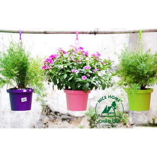 Chậu cây tự dưỡng thông minh - K03