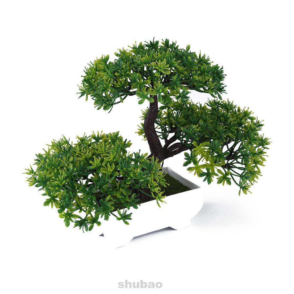 Cây Bonsai Giả Để Bàn Trang Trí