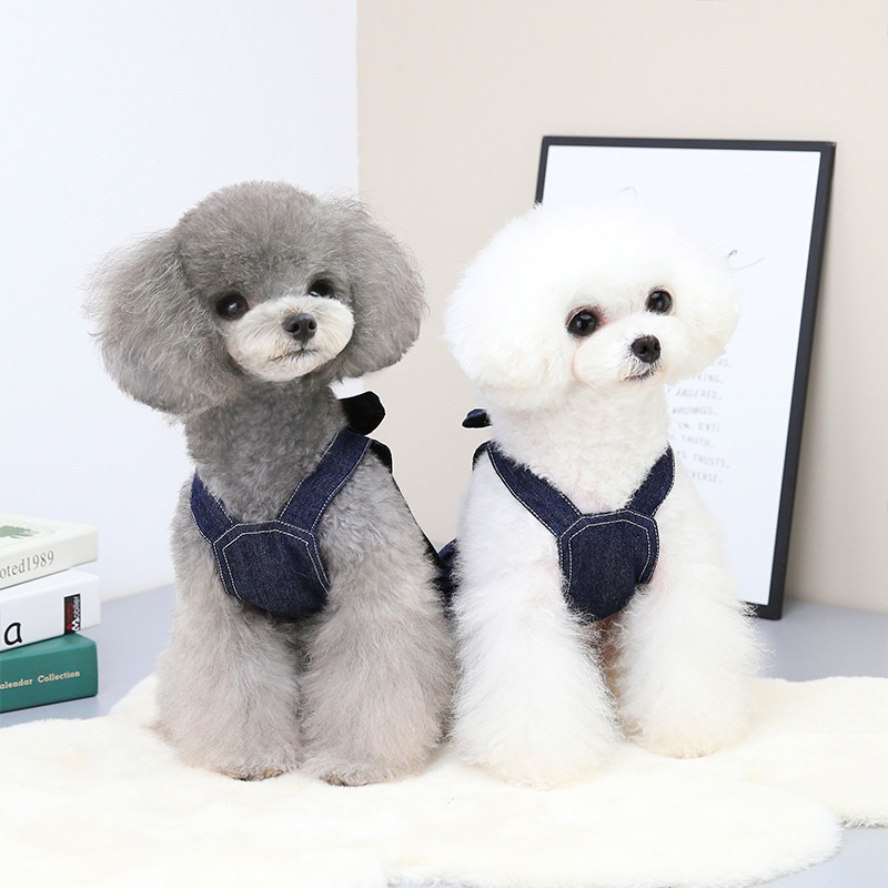 Bộ Áo Sơ Mi Denim Thắt Nơ Kèm Dây Dắt Dành Cho Thú Cưng Chó Mèo