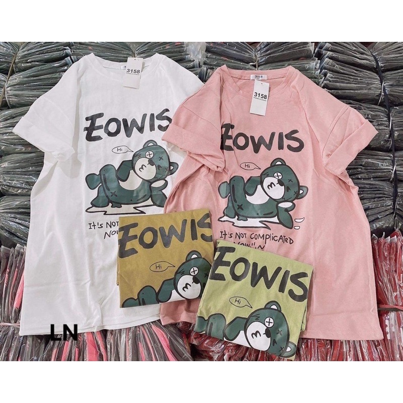 Áo phông gấu EOWIS LN12