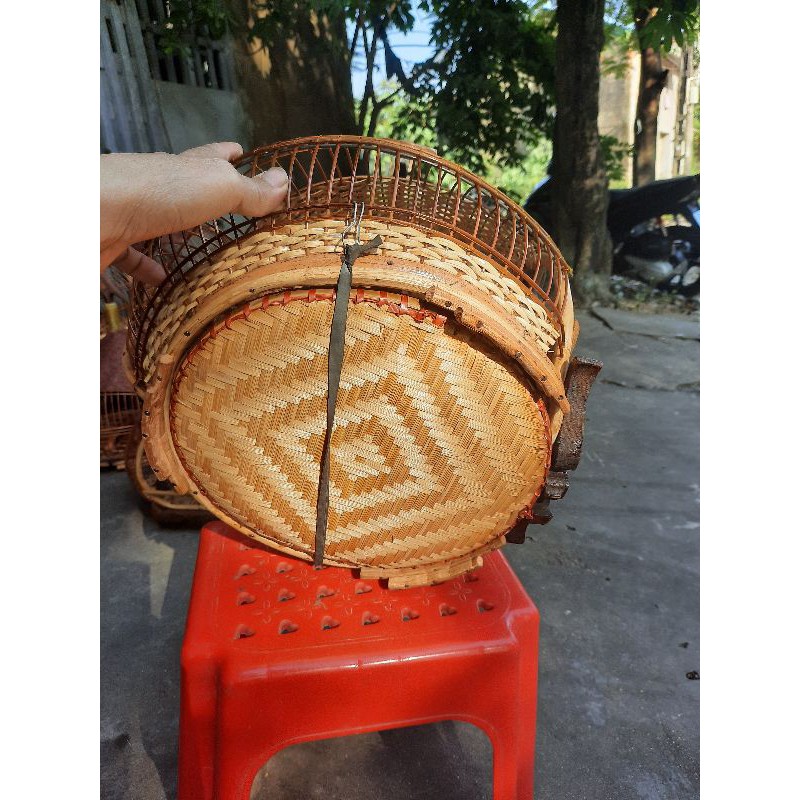 GÁY ĐAN MÂY ,SƠ DỪA CỬA RƠI