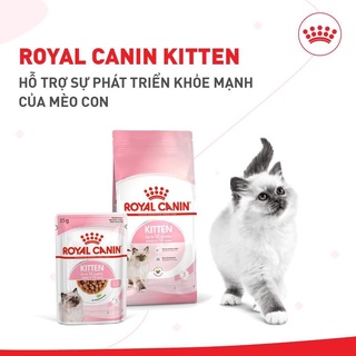 Thức ăn hạt cho mèo con Royal Canin Kitten 36 Túi 1Kg
