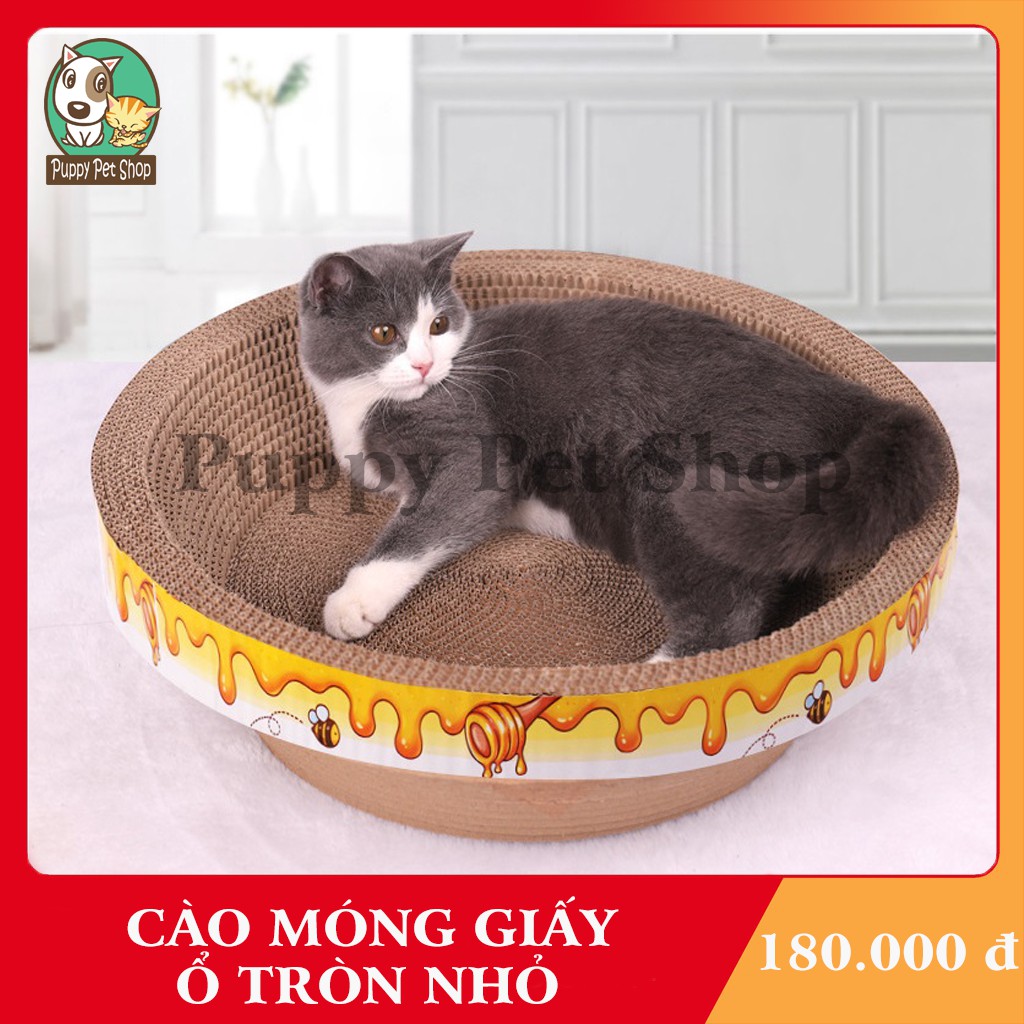 Cào móng giấy ổ tròn