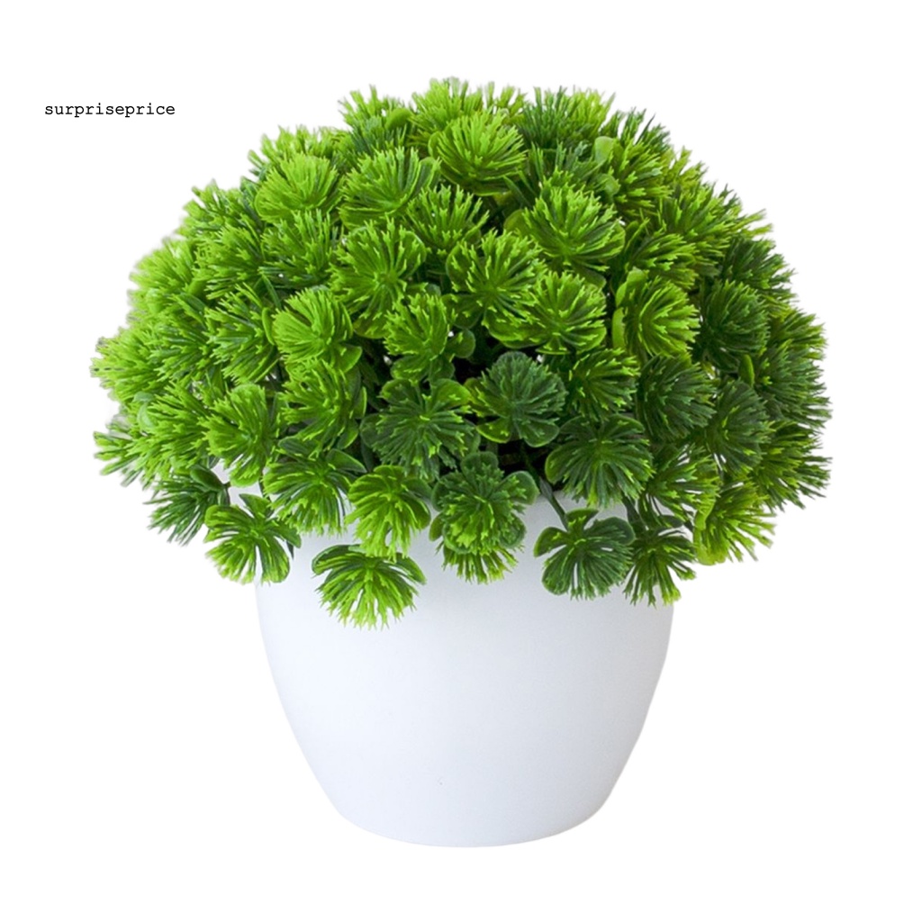 Chậu Cây Bonsai Giả Trang Trí Văn Phòng