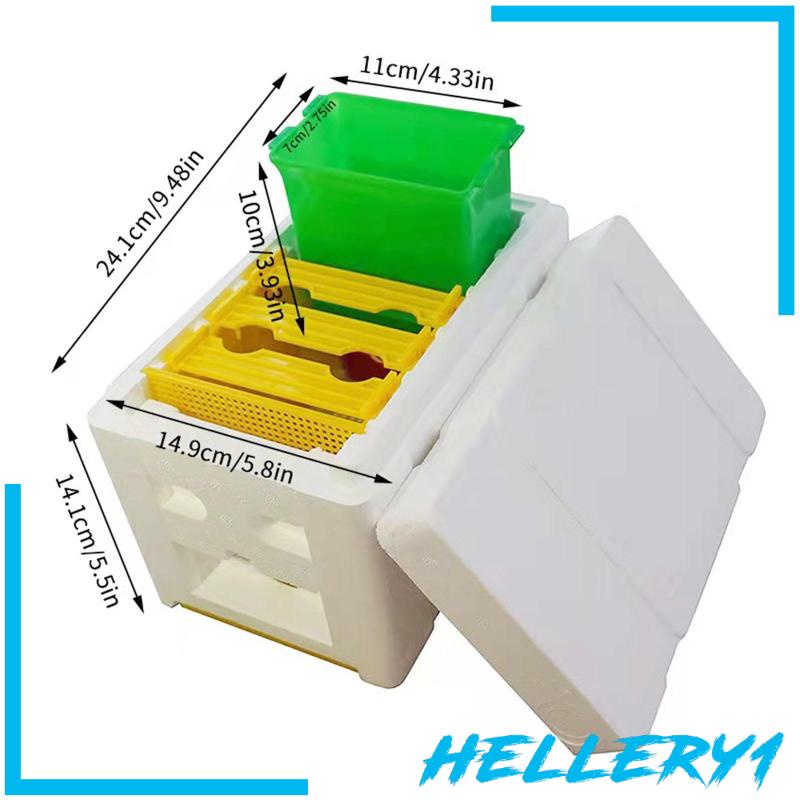 Hộp Nuôi Ong Chúa Breeding Queen Bee 1