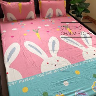 Ga gối cotton poly