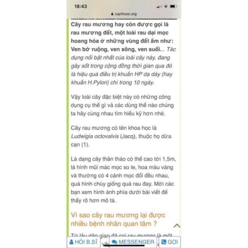 1 Kg Cây rau mương khô nhiều lá hàng loại 1